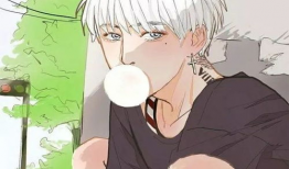 男性漫画大全,激情、冒险与成长的故事集锦