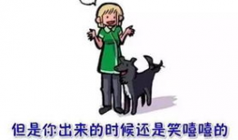 狗狗感人漫画,忠诚与爱的永恒画卷